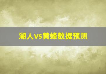 湖人vs黄蜂数据预测