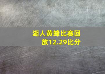 湖人黄蜂比赛回放12.29比分