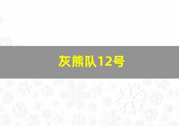 灰熊队12号