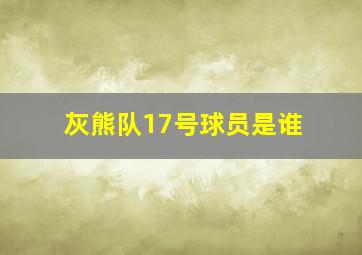 灰熊队17号球员是谁