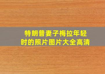 特朗普妻子梅拉年轻时的照片图片大全高清