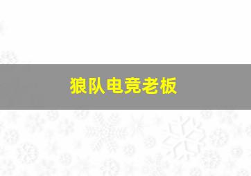 狼队电竞老板