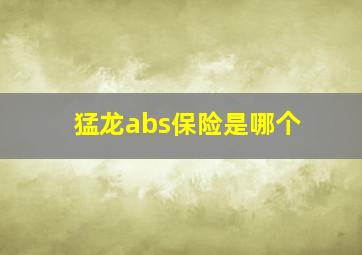 猛龙abs保险是哪个