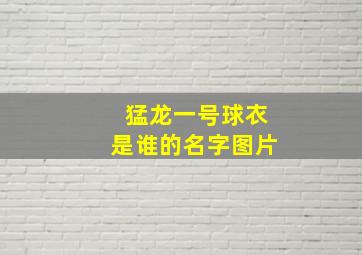 猛龙一号球衣是谁的名字图片