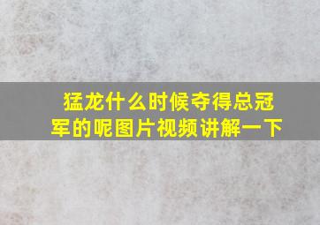 猛龙什么时候夺得总冠军的呢图片视频讲解一下