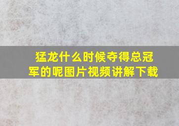 猛龙什么时候夺得总冠军的呢图片视频讲解下载