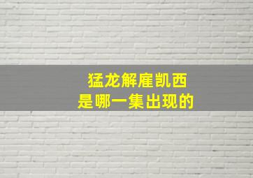 猛龙解雇凯西是哪一集出现的