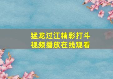 猛龙过江精彩打斗视频播放在线观看