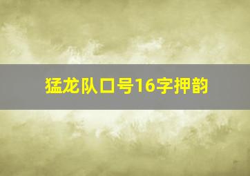 猛龙队口号16字押韵