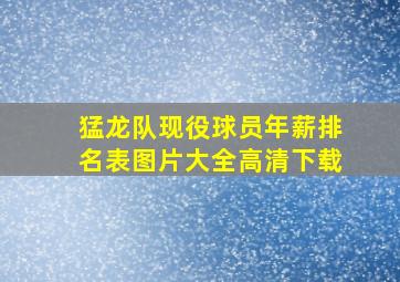 猛龙队现役球员年薪排名表图片大全高清下载