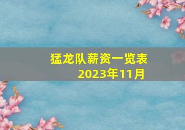 猛龙队薪资一览表2023年11月