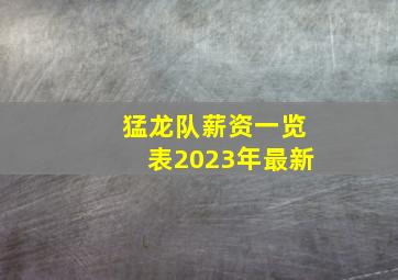 猛龙队薪资一览表2023年最新