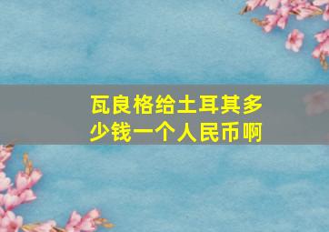 瓦良格给土耳其多少钱一个人民币啊