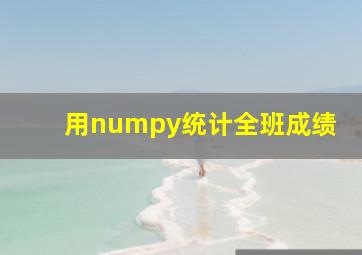 用numpy统计全班成绩