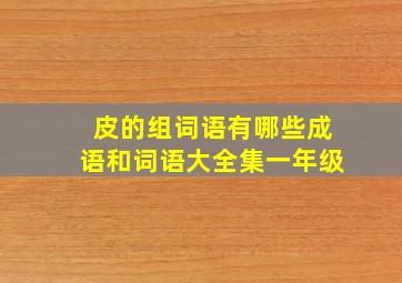 皮的组词语有哪些成语和词语大全集一年级