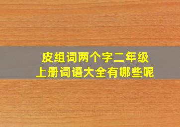 皮组词两个字二年级上册词语大全有哪些呢