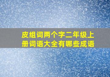 皮组词两个字二年级上册词语大全有哪些成语