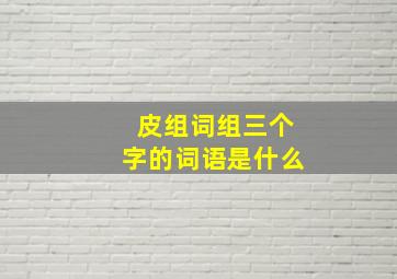 皮组词组三个字的词语是什么