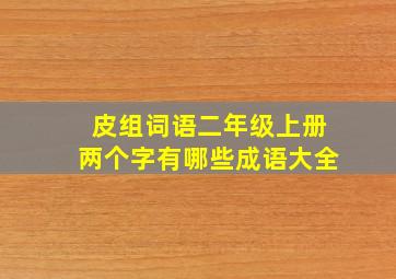 皮组词语二年级上册两个字有哪些成语大全