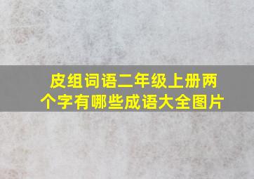 皮组词语二年级上册两个字有哪些成语大全图片