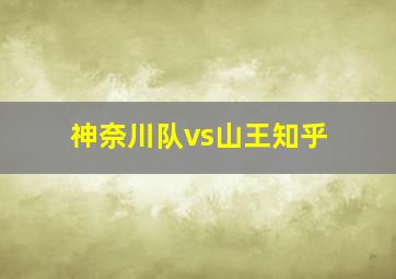 神奈川队vs山王知乎