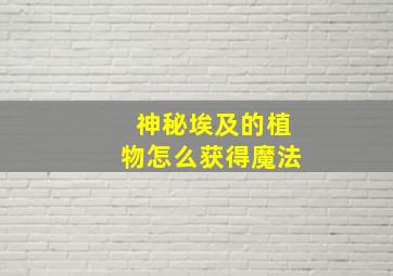 神秘埃及的植物怎么获得魔法