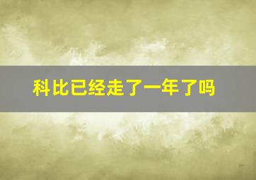 科比已经走了一年了吗