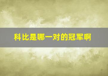 科比是哪一对的冠军啊