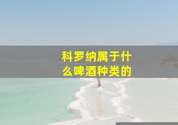 科罗纳属于什么啤酒种类的