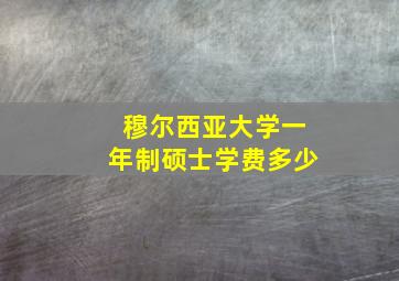 穆尔西亚大学一年制硕士学费多少