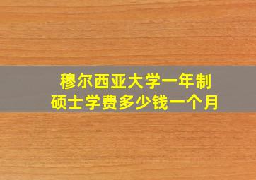 穆尔西亚大学一年制硕士学费多少钱一个月