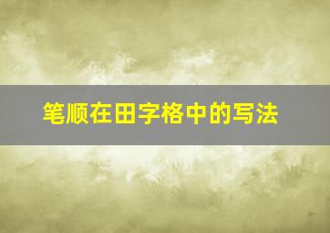 笔顺在田字格中的写法