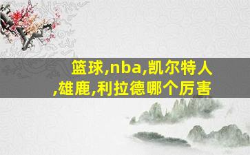 篮球,nba,凯尔特人,雄鹿,利拉德哪个厉害