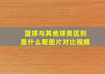 篮球与其他球类区别是什么呢图片对比视频