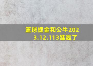 篮球掘金和公牛2023.12.113淮䇔了