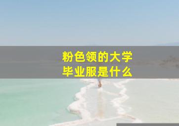 粉色领的大学毕业服是什么