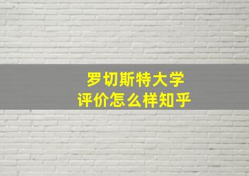 罗切斯特大学评价怎么样知乎