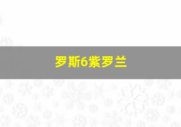 罗斯6紫罗兰