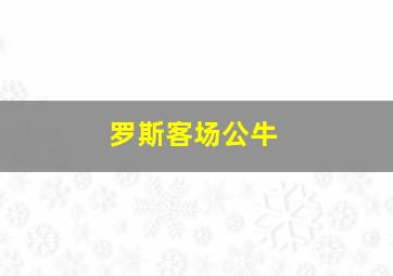 罗斯客场公牛