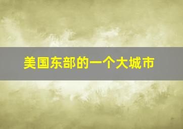 美国东部的一个大城市