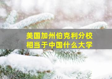 美国加州伯克利分校相当于中国什么大学