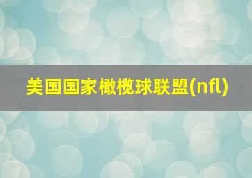 美国国家橄榄球联盟(nfl)