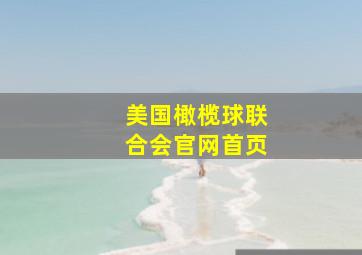 美国橄榄球联合会官网首页