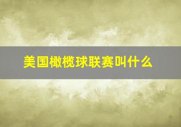 美国橄榄球联赛叫什么