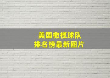 美国橄榄球队排名榜最新图片