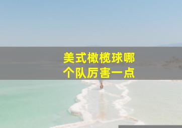 美式橄榄球哪个队厉害一点