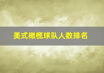 美式橄榄球队人数排名