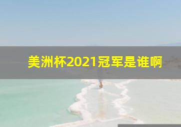 美洲杯2021冠军是谁啊