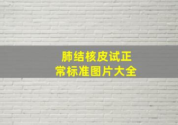 肺结核皮试正常标准图片大全