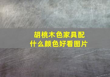 胡桃木色家具配什么颜色好看图片